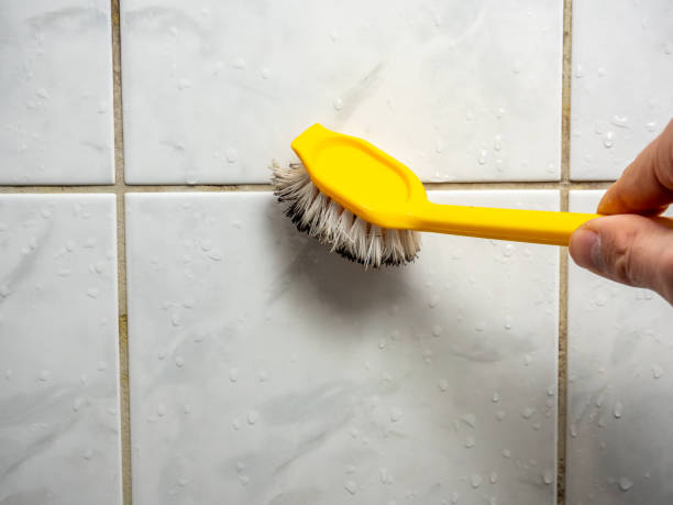 Best Commercial Mold Removal  in St Francis, KS
