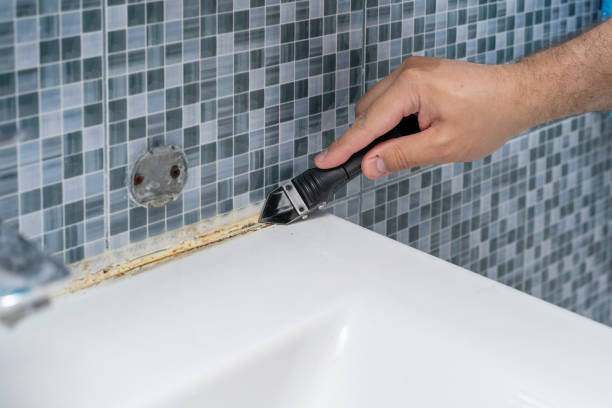 St Francis, KS Mold Removal Company