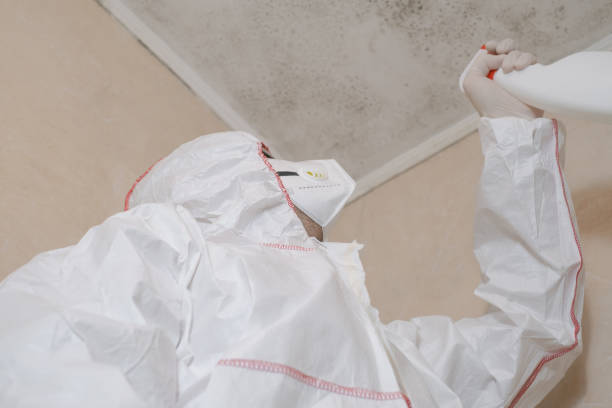 Water Damage Restoration in St Francis, KS